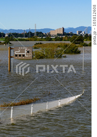 令和元年東日本台風・治水効果で水没した彩湖道満グリーンパーク(埼玉県) 令和元年東日本台風・治水効果で水没した彩湖道満グリーンパーク(埼玉県) 103812608
