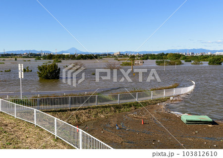 令和元年東日本台風・治水効果で水没した彩湖道満グリーンパーク(埼玉県) 令和元年東日本台風・治水効果で水没した彩湖道満グリーンパーク(埼玉県) 103812610