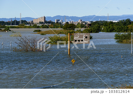 令和元年東日本台風・治水効果で水没した彩湖道満グリーンパーク（埼玉県） 103812614
