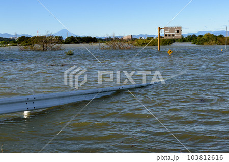 令和元年東日本台風・治水効果で水没した彩湖道満グリーンパーク（埼玉県） 103812616