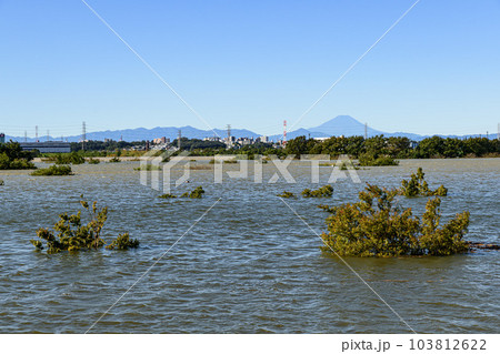 令和元年東日本台風・治水効果で水没した彩湖道満グリーンパーク(埼玉県) 令和元年東日本台風・治水効果で水没した彩湖道満グリーンパーク(埼玉県) 103812622