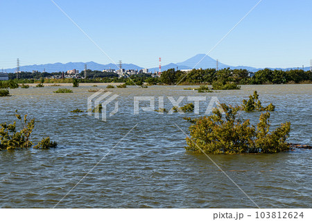 令和元年東日本台風・治水効果で水没した彩湖道満グリーンパーク（埼玉県） 103812624