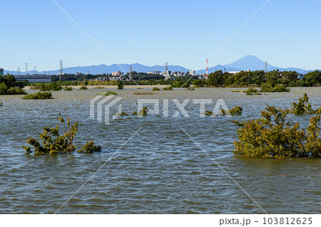 令和元年東日本台風・治水効果で水没した彩湖道満グリーンパーク（埼玉県） 103812625