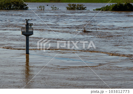 令和元年東日本台風・前日の大雨で増水した荒川（埼玉県戸田市） 103812773