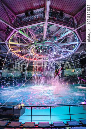 アクアパーク品川のイルカショー　ナイトバージョン 103812833