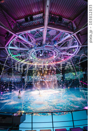 アクアパーク品川のイルカショー　ナイトバージョン 103812835