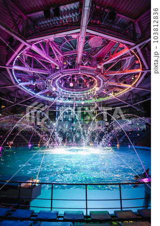 アクアパーク品川のイルカショー ナイトバージョン アクアパーク品川のイルカショー ナイトバージョン 103812836
