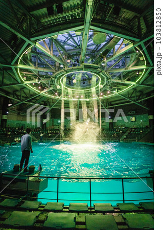 アクアパーク品川のイルカショー ナイトバージョン アクアパーク品川のイルカショー ナイトバージョン 103812850