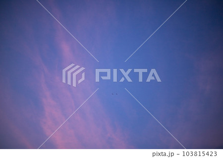 夕焼け空 夕焼け空 103815423