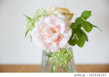 グラスに生けたピンクのバラとグリーンのフラワーアレンジメント 103816185