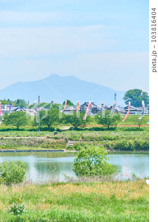 2023年5月鯉のぼりと筑波山 103816404