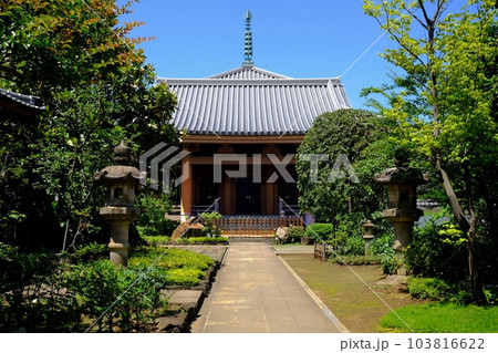東京都豊島区　金剛院 103816622