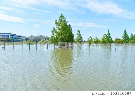 2023年6月2日大雨の後の埼玉県吉川市の調整池 2023年6月2日大雨の後の埼玉県吉川市の調整池 103816694