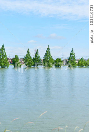 2023年6月2日大雨の後の埼玉県吉川市の調整池 103816735