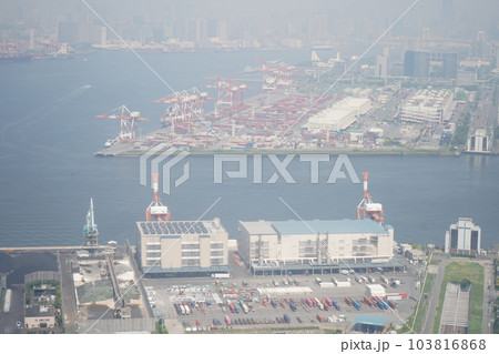飛行機内から撮影｜霞んだ大都会の街並み｜大気汚染イメージ｜公害イメージ｜東京都 103816868