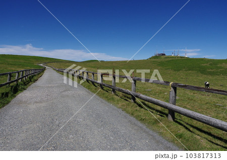 美ヶ原高原　美ヶ原牧場と遊歩道 103817313