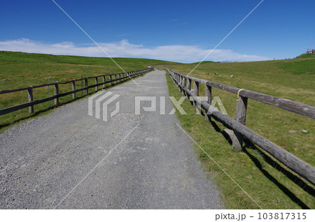 美ヶ原高原　美ヶ原牧場と遊歩道 103817315