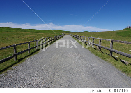 美ヶ原高原　美ヶ原牧場と遊歩道 103817316