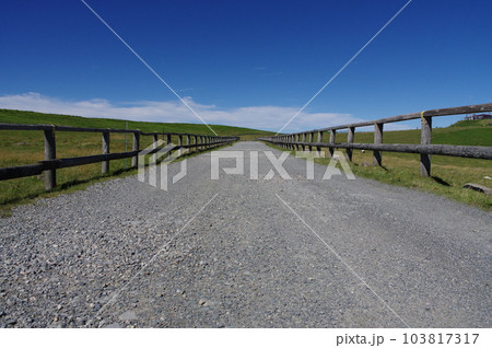 美ヶ原高原　美ヶ原牧場と遊歩道 103817317