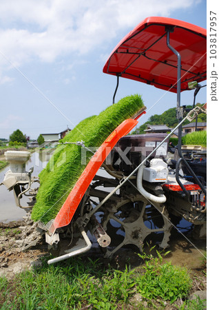 五月の田植え機 103817957