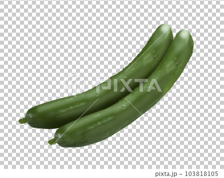 Fresh cucumber Fresh cucumber 103818105