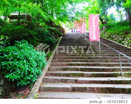 成相寺参道 成相寺参道 103818623