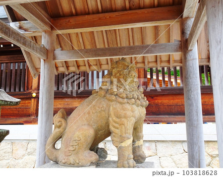 籠神社狛犬 籠神社狛犬 103818628