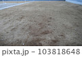 住宅地として整地された土地 103818648