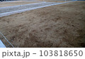住宅地として整地された土地 103818650