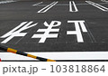駐車場に描かれた白線や注意喚起の文字 103818864