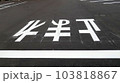 駐車場に描かれた白線や注意喚起の文字 103818867