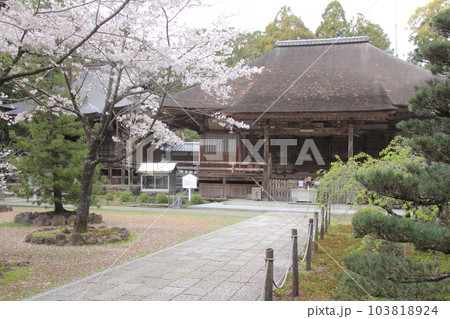 四国霊場第29番札所「国分寺」本堂 103818924