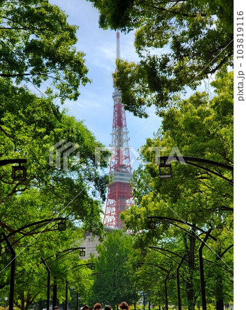 東京タワー 東京タワー 103819116