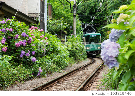 鎌倉 極楽洞を通過する江ノ電 鎌倉 極楽洞を通過する江ノ電 103819440