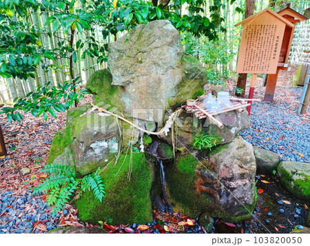 真名井神社の御神水 真名井神社の御神水 103820050