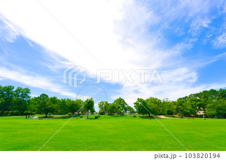 【大阪府】7月・青空と緑の万博記念公園 【大阪府】7月・青空と緑の万博記念公園 103820194