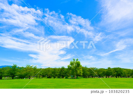 【大阪府】7月・青空と緑の万博記念公園 【大阪府】7月・青空と緑の万博記念公園 103820235