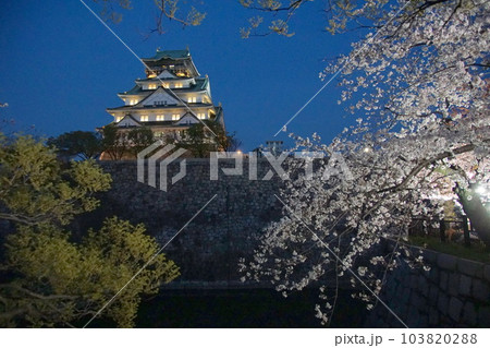 大阪城観桜ナイター　西の丸庭園 103820288