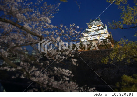 大阪城観桜ナイター 西の丸庭園 大阪城観桜ナイター 西の丸庭園 103820291