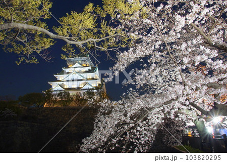 大阪城観桜ナイター　西の丸庭園 103820295