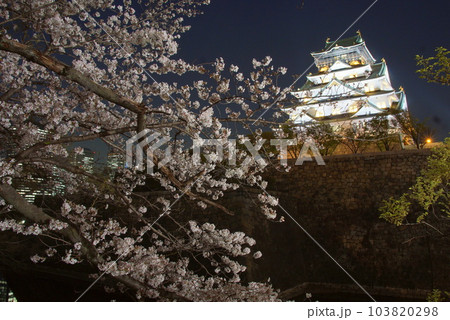 大阪城観桜ナイター　西の丸庭園 103820298