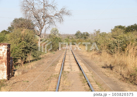 【ジンバブエ】線路 103820375