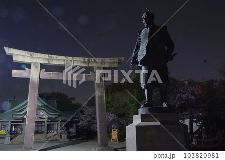 豊国神社 夜景 豊国神社 夜景 103820981
