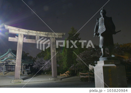 豊国神社 夜景 豊国神社 夜景 103820984