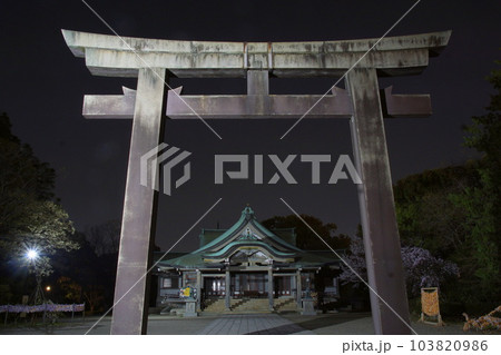 豊国神社 夜景 豊国神社 夜景 103820986
