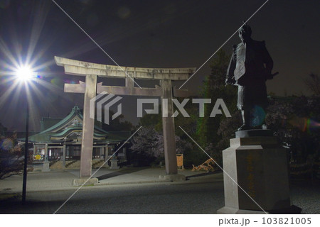 豊国神社 夜景 豊国神社 夜景 103821005