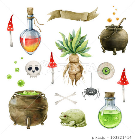 Potion making element set. Watercolor painted illustration. Hand drawn autumn festive halloween collection. Vintage cartoon style witchcraft set. Potion, witch pot, mandrake, scull elements 103821414