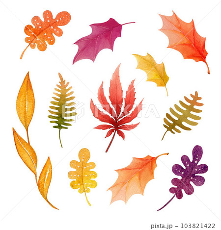 Autumn leaves cartoon style set. Watercolor painted illustration. Hand drawn fall season leaf element collection. Bright autumn fallen leaves on white background Autumn leaves cartoon style set. Watercolor painted illustration. Hand drawn fall season leaf element collection. Bright autumn fallen leaves on white background 103821422