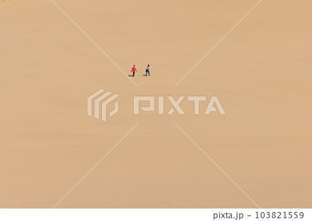 鳥取砂丘で砂丘を楽しむ人々 103821559
