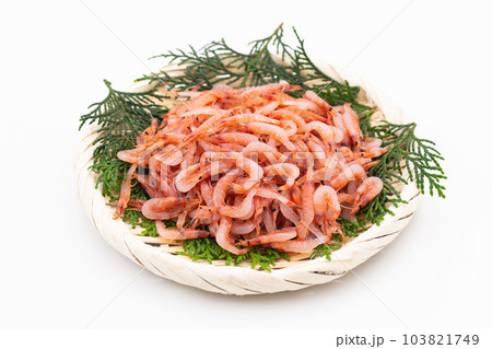 生桜えび 103821749